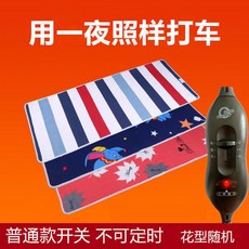 12V 전기장판 캠핑 캠핑용 차량용 온열매트 전기매트 차박, 24볼트 길이 170x65cm 높낮이