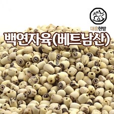 대흥한방 껍질깐 백연자육 베트남산, 1개, 300g
