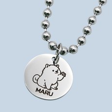 강아지 개 애견 반려견 고양이 반려묘 인식표 이름표 써지컬 목걸이, 1개, 실버