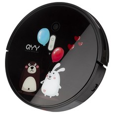 Qyy 배큐엄 클리너 흡입+걸레 로봇청소기 블랙, C100