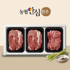 [작심밀도]농협안심한우 1++ 등심200g + 등심200g + 채끝200g / 냉장, 1