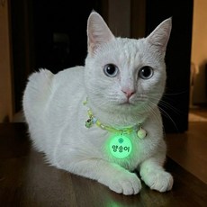 야광 이름표 비즈 고양이 목걸이, 형광(네잎클로버), 1개