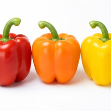 국내산 파프리카 빨강 노랑 혼합 고추 롱 파프리카 못난이 피망 1kg