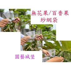 園藝城堡 無花果套袋 束口紗網水果防蟲套 雪紗網雙拉繩設計 適用草莓、百香果、南瓜、絲瓜、蕃茄、苦瓜, 1個