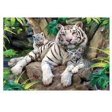 500피스 직소퍼즐 백호의 포효 PL741, 혼합, 1개, 500피스 백호의 포효 PL741, 300피스 or 150피스 직소퍼즐