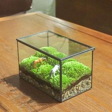 테라리움 케이스 이끼 사각 방수 투명 식물 키트 장식 미니정원 생태계 글라스박스, 23H / 210x120x140
