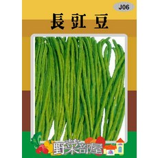 【野菜部屋】J06 長豇豆種子 白仁菜豆 白仁白格長豆, 1包