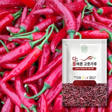 25년 다올바른 [국산 햇 고춧가루] 500g 보통매운맛 고급형 청정지역 양념 김장 요리용, 1개
