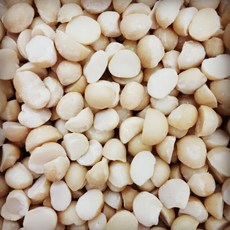 低溫烘焙 澳洲原味夏威夷果, 1個, 600g/一斤