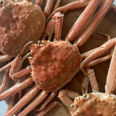 홋카이도 활 생물 자숙 대게 3kg, 1개, 북해도 대게 3kg (10미~15미내외)