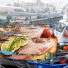 세네갈산 반건조 구이 조림 말린생선 서대 대형 1마리, 1개