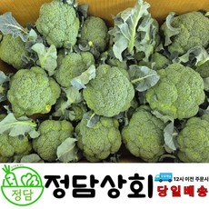 [ 정담상회 ] 국내산 브로콜리 햇브로콜리 1kg 2kg 3kg 내외, 1박스