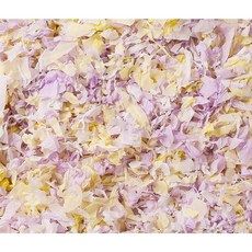 懶懶喵 無塵紙棉 紫薯布丁 倉鼠墊料 純紙漿 控塵 無粉塵 保暖 適用於過敏鼠, 250g, 1個