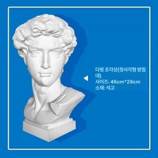 석고 기초도형 기하학 입방체 조형 모형 스케치 교구, 46cm 다비드