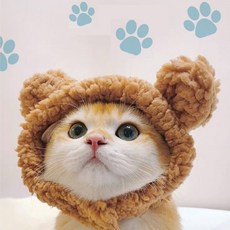강아지 고양이 모자 겨울모자 곰 팬더 모양, 브라운 곰