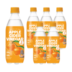 클룹 애사비소다 감귤, 6개, 500ml