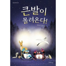 큰발이 몰려온다! (한울림생태환경동화), 없음, 상세 설명 참조