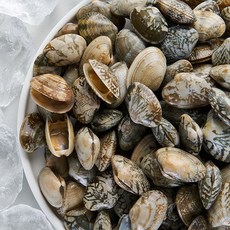 삼둥이수산 냉동 자숙 피바지락 500g 해감, 아이스팩추가