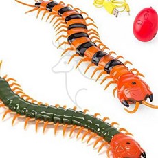 지네 RC 생물모형 색상임의배송 여아선물, 1개