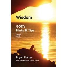 (영문도서) Wisdom: GOD's Hints and Tips Paperback, Great Developments Publishers