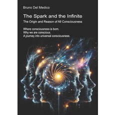 (英文圖書)The Spark and the Infinite. The Origin and Reason of All Consciousness: Where co... 平裝版, Independently Published, 英文
