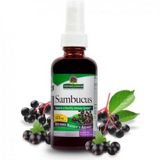 Nature's Answer Alcohol-Free Sambucus Extract Spray 2-Ounces | System Support | Vegan Gluten-Fre