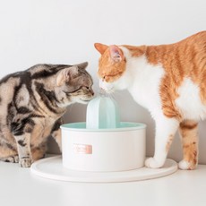 고양이 선인장 정수기 젠에디션 급수기, 1개, 파스텔 민트