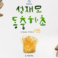 성재모동충하초 생초 80g X 4통 부모님선물 현미, 건강식품