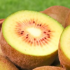 제주 레드키위, 1박스, 중과 4.5kg