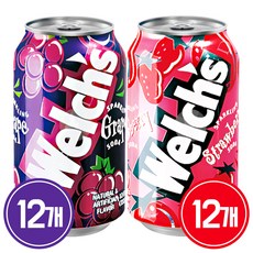 웰치스 355ml(포도12+딸기12), 1세트, 355ml