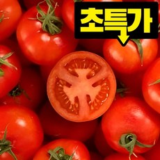 초특가 국내산 유럽종 완숙 토마토, 1박스, 5kg(쥬스용)