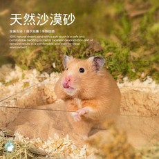 愛兔草 倉鼠沙漠沙 除臭尿砂 倉鼠廁所砂 浮石粉 鼠砂 沙鼠 倉鼠 倉鼠科養 木屑 倉鼠廁所 鼠沙 倉鼠沐浴沙, 1個, 【天然沙漠沙+浮石顆粒】1kg(袋裝