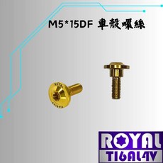 ROYAL 鈦合金螺絲 M5*15DF 車殼螺絲, 1個