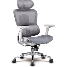 LOGIS 人體工學電腦椅 SGS認證氣壓棒 5D扶手 106AT11-G, 灰色