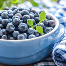 국산 생블루베리 블루베리 생과 왕사이즈 18mm이상, 100g, 4개