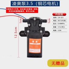 雨露泉 3.5L/Min 12V 隔膜泵 銅芯電機, 1個, 凌奥金狮泵(无赠品)