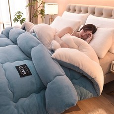 산호 벨벳 이불 겨울 이불 두꺼운 따뜻한 양고기 벨벳 이불 코어 더블 싱글 기숙사 학생 이불 이불