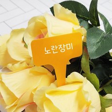 식집사 컬러 식물 이름표 대 유치원 데코, 없음