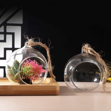 쾅쾅상사 테라리움투명볼 테라리움만들기, 8cm