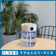 [3L 대용량 가습기] 가정용 대형 탁상용 대용량 초음파 유아 습도조절 거실 책상 통세척 신생아 대형 소형 미니 매장용 안방 듀얼 무소음 저소음 사무실 가습기 추천