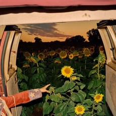 [CD] Kevin Morby (케빈 모비) - 8집 Little Wide Open