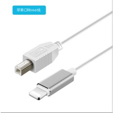 MIDI OTG傳輸線 Lighting to USB Type B & C 電鋼琴連接線 適用iPhone/iPad, 1個