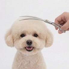 반려동물 미용 커브가위, 1개, 실버 1개, 실버