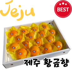 자연과실 한라봉 선물 세트 명절 고당도 천혜향 레드향 할라봉 황금향 백화점 납품 프리미엄 2.5kg, 1세트, 선물용 황금향 2.5kg(7-15과)