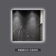 浴室智能鏡 簡約方形發光化妝鏡 高清防爆除霧LED三色光浴鏡 廁所衛生間掛墻鏡子, B款正光 單觸摸+白光+無極調光,50cm