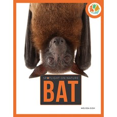 Bat Paperback, Creative Paperbacks