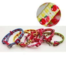 강아지 딸기 소형견 목줄 세트 10mm 목줄만 12개tae4+4zia