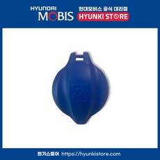 워셔액통 뚜껑 (986232W000), 1개