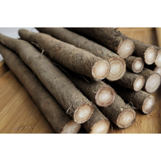 [무농약] 진주우엉 햇우엉 국산 친환경 우엉 2kg 직접재배 제철음식 햇우엉