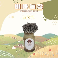 바바농장 고기 느타리 표고 버섯키우기 싱글키트 버섯배지 종균 버섯키트, 1개, 느타리배지(싱글키트)
